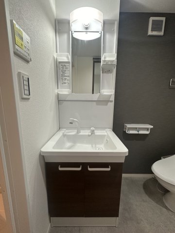ベイルームグラシア海老名203号室 洗面