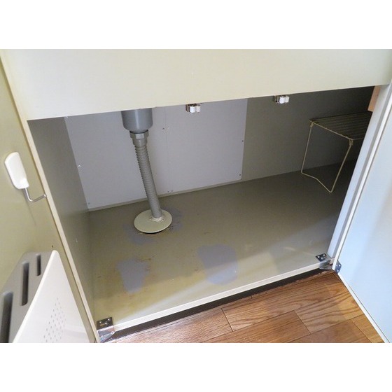 サニーハイツ0202号室 キッチン下収納