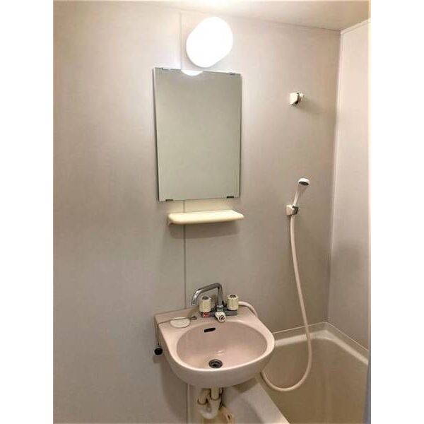 キュービック湘南　壱番館0302号室 洗面