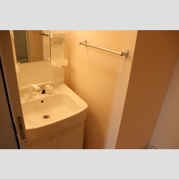 A8301号室 独立洗面洗髪化粧台