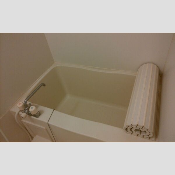 トレビュー松原101号室 101号室　浴室