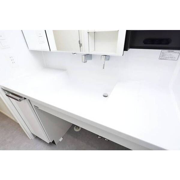 パークルール大手町1102号室 洗面