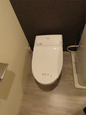 M-1 Tokyo 東矢口21階 トイレ