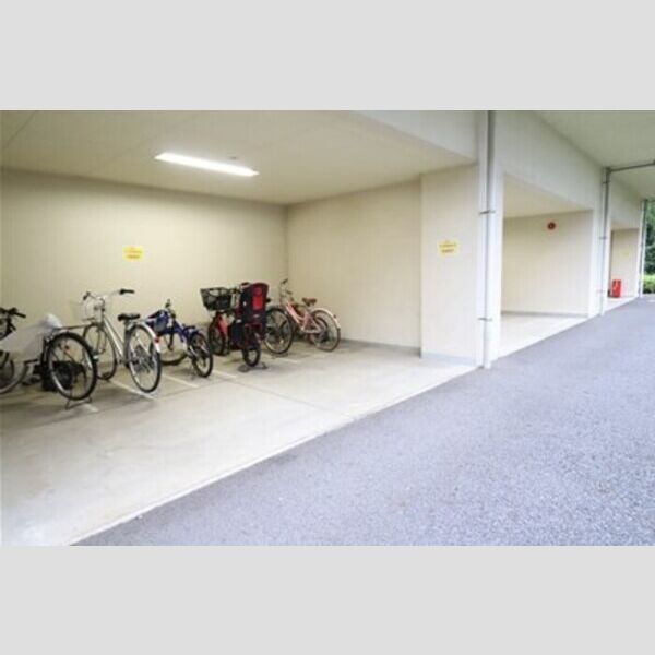 エルピス 駐輪場