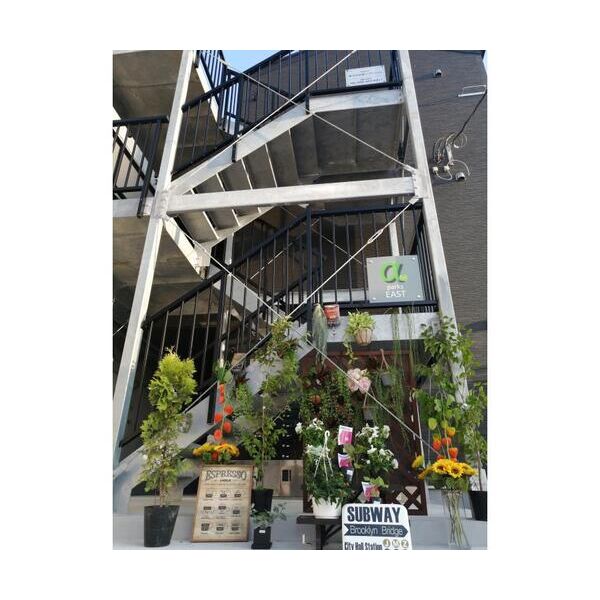 α(アルファ)　parks　east302号室 外観