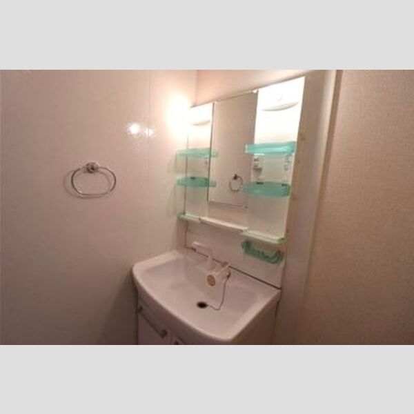 グリーンテリア　第10201号室 洗髪洗面化粧台