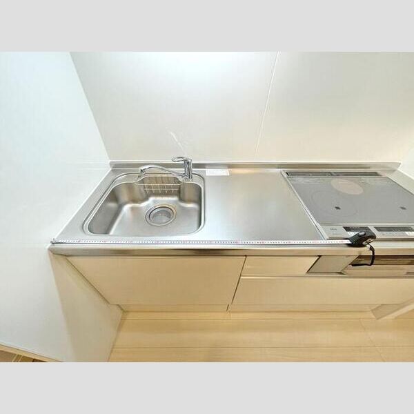 コリーヌヴェール盆栽106号室 シンク