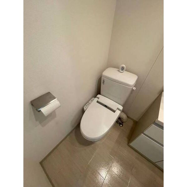 ハウスセゾン新板橋0902号室 トイレ