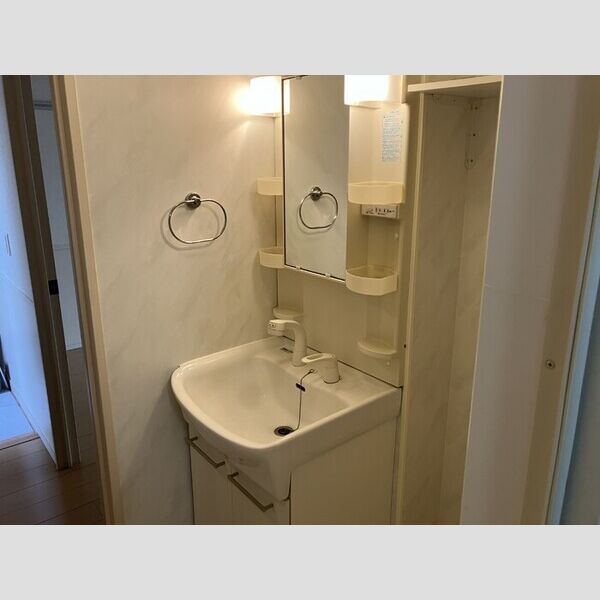 フェザント　東館 洗髪洗面化粧台