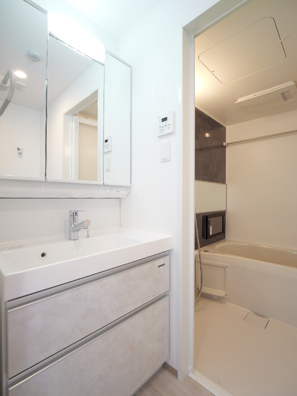 プレジオ川口ASIAN7階 洗面