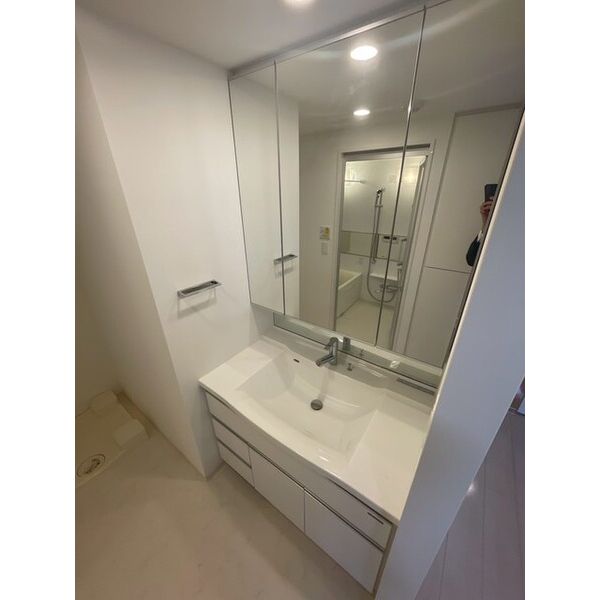 ルネサンスシティ川口並木　ザ・レジデンス 洗面