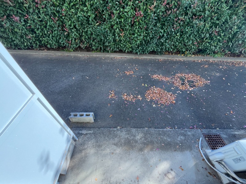 コリーヌ・F1階 ※別号室写真