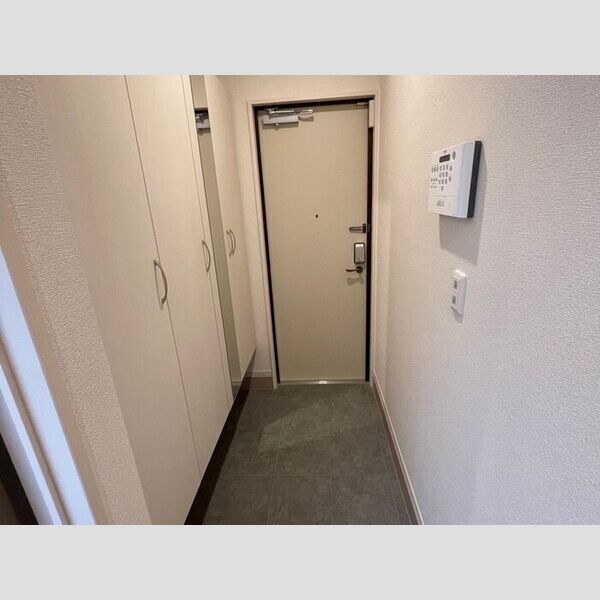 Ark　Bliss六町(アークブリスロクチョウ)205号室 玄関