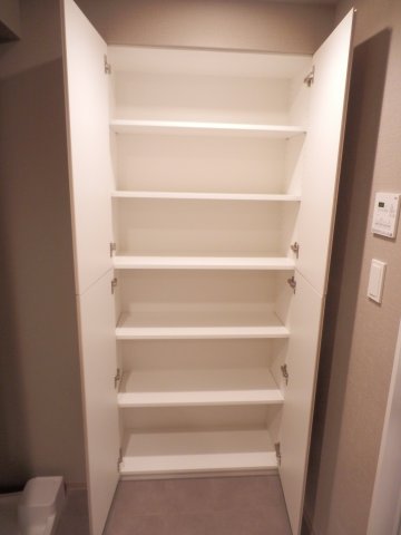 びゅうリエットグラン新宿戸山620号室 収納