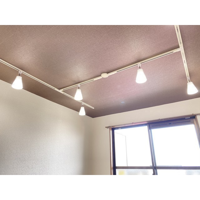 メゾン榎木町402号室 ☆ライティングレール