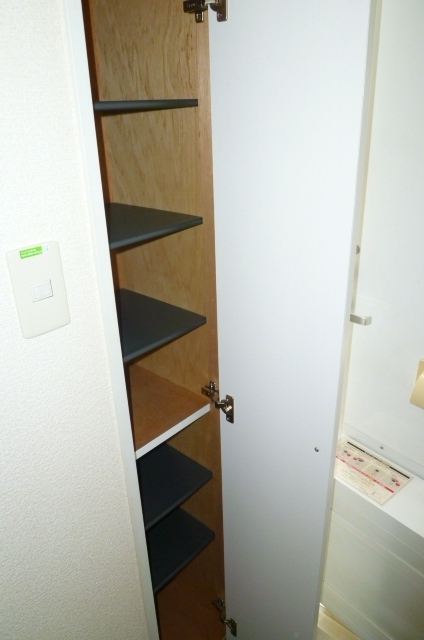 レオパレスメルベーユⅣ202号室 シューズボックス