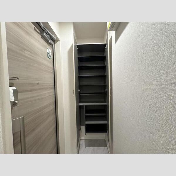 セレスティア六町Ⅱ205号室 シューズボックス