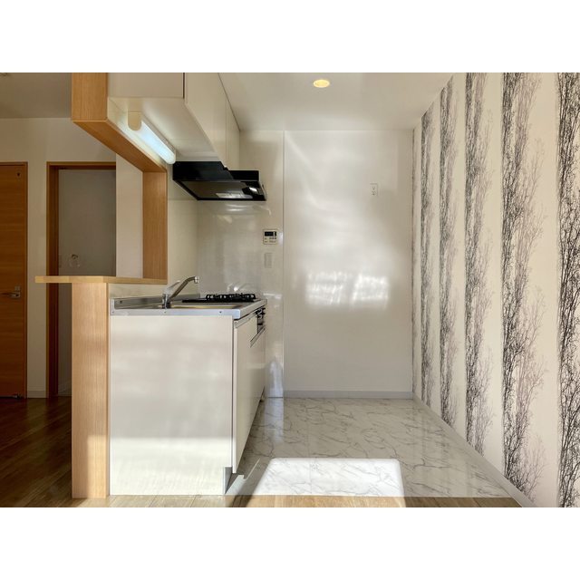 ラ　ヴィーテ101号室 ☆LDK11.3帖