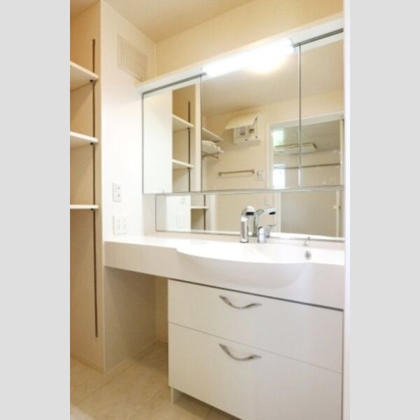 メゾン・ド・TJ2 101号室 洗髪洗面化粧台