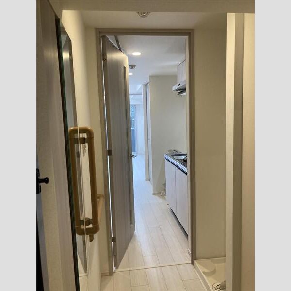 S-RESIDENCE瑞江102号室 リビング