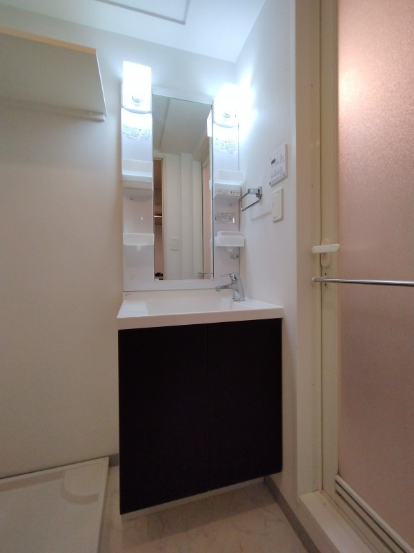 GENOVIA浜松町green veil 洗面