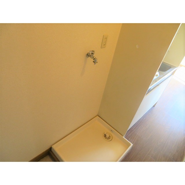 カーサグリスメイユー0206号室 洗濯機置き場