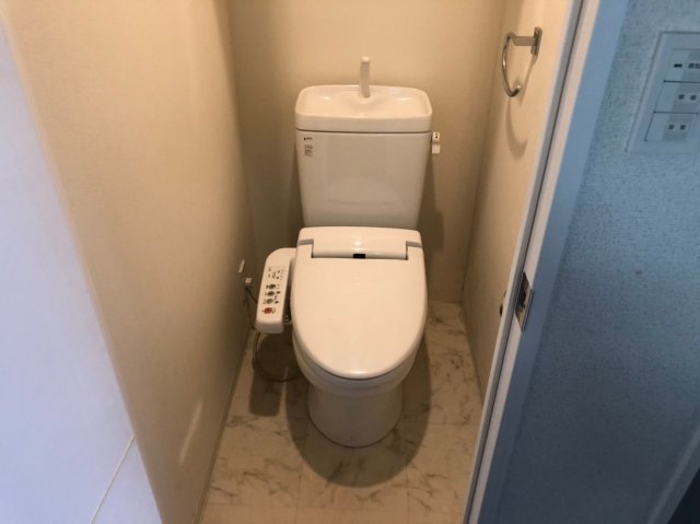 SYNEX HON-KOMAGOME ※過去退去時原状回復前のお写真です