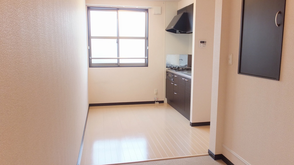 レオネクストメゾンエスポワール108号室 部屋その他