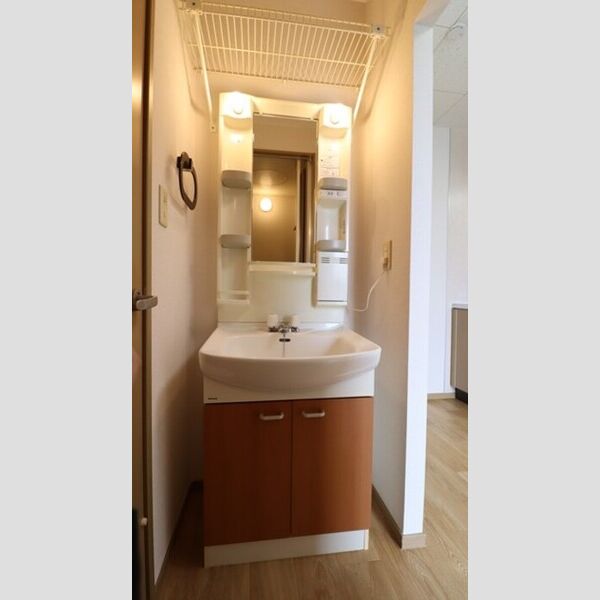 毛呂山ヒルズ202号室 洗髪洗面化粧台