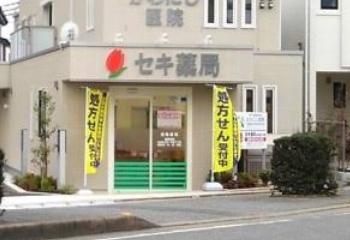 ハウス南浦和 【ドラッグストア】セキ薬局 太田窪五丁目店まで341ｍ