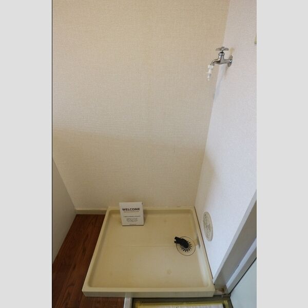 グリーンプラザ　B107号室 室内洗濯機置場