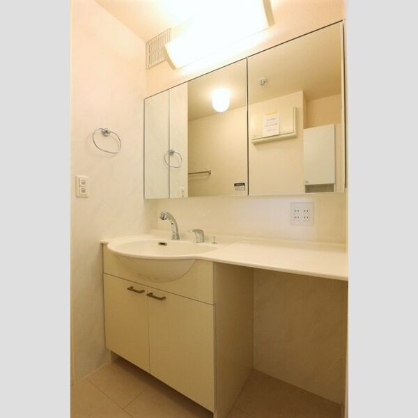 フラッツ酒井根　Ⅰ号棟303号室 洗髪洗面化粧台