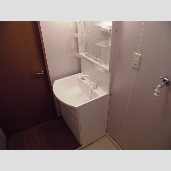 ヒルサイドコート　弐番館201号室 洗髪洗面化粧台