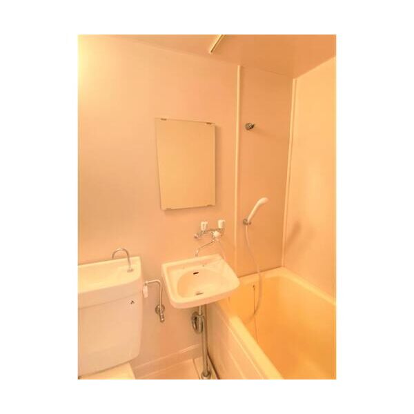 グリーンハイツ喜多見 洗面