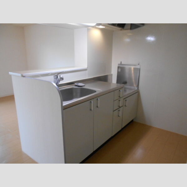 オベルジーヌ　D203号室 キッチン
