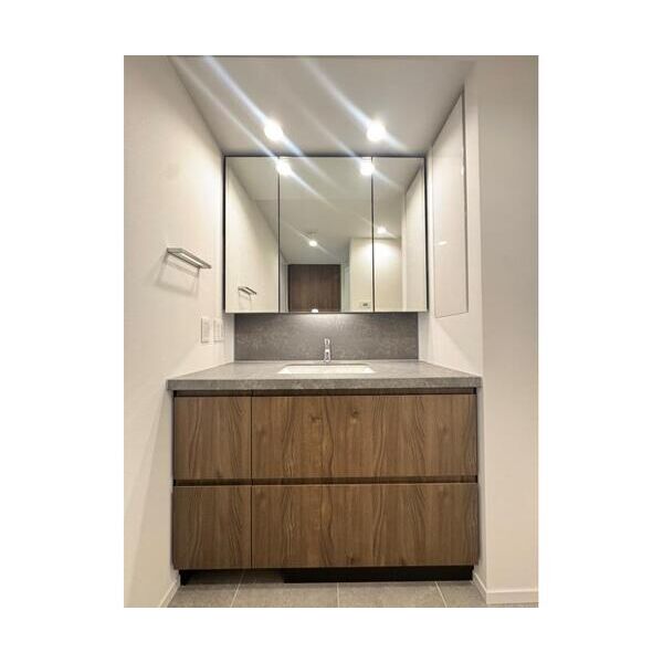 パークコート　ザ・三番町ハウス207号室 洗面