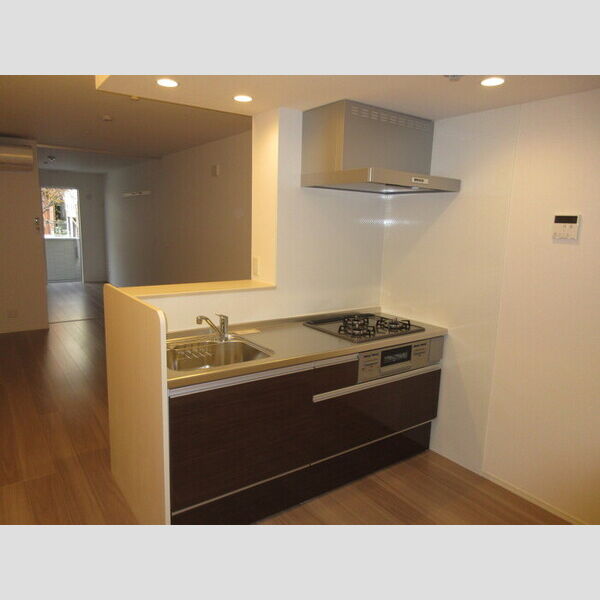 エクセリア徳丸Ⅰ103号室 キッチン流し台