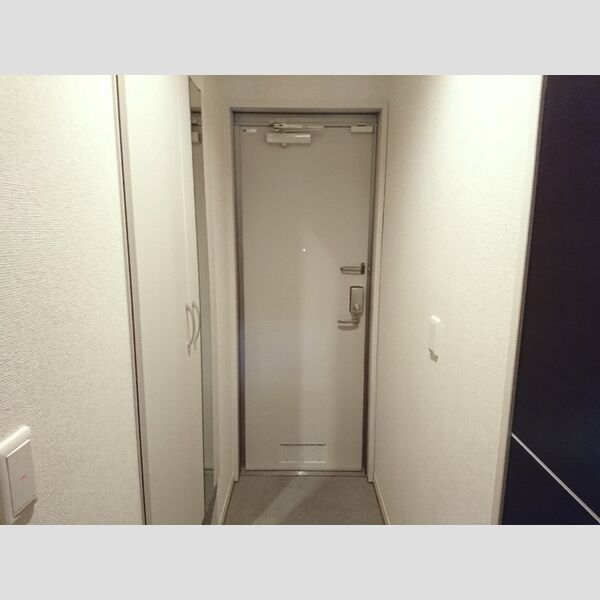 ヘリオス吉川美南　アレス 玄関