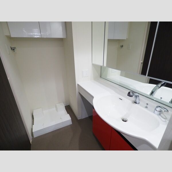 ロイジェントパークス千葉中央1413号室 洗面化粧台・洗濯機置き場