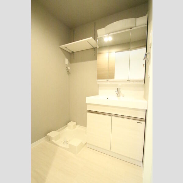 ロイジェント九段 洗面