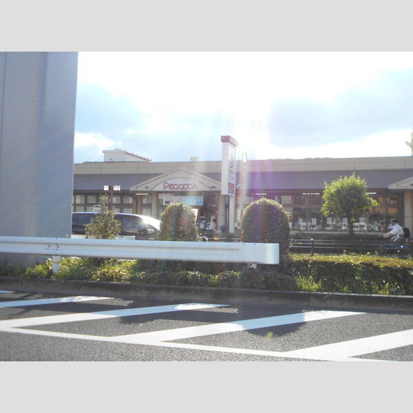 Ray　Harmony　レイ　ハーモニー 総合食品スーパー　ピーコック