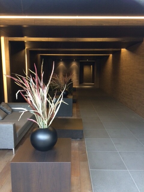 WILL　VERT東十条9階 エントランス