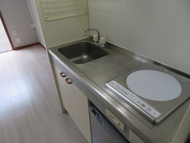 リバーハイツ1階 ※別部屋の写真です