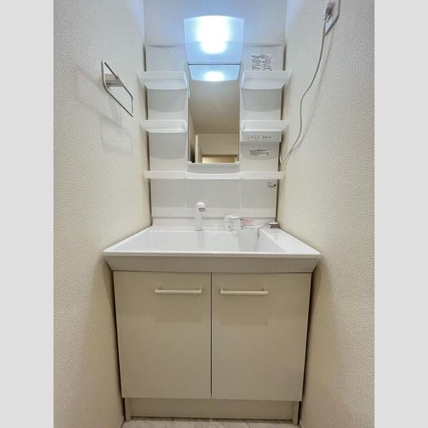 リーブルファイン川口上青木西203号室 洗面