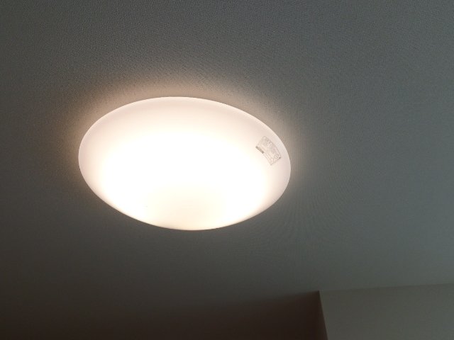 ジュエルウィード 照明器具