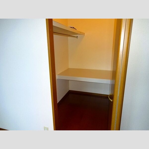 シュタインベルク　東館 ウォークインクローゼット