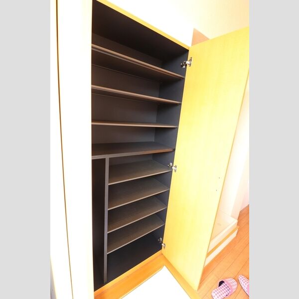 ルミエール202号室 玄関のシューズボックス