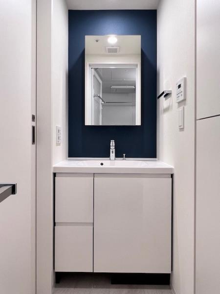 Ｂｒｉｌｌｉａ　ｉｓｔ　大井町11階 洗面