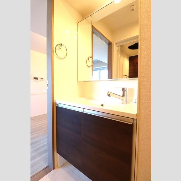 グラナーデ西大泉201号室 洗髪洗面化粧台