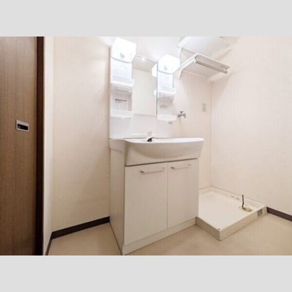 エコガーデン　C棟201号室 洗髪洗面化粧台